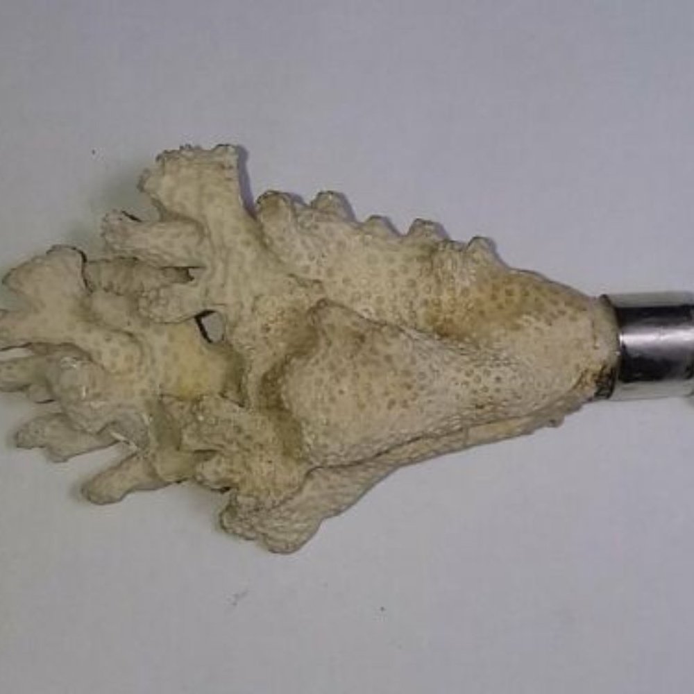 Alberto Juan White Branch Coral Sterling Silver Pe